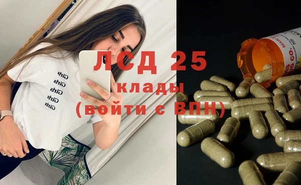 спайс Баксан