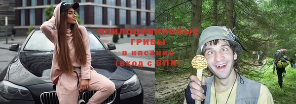 спайс Баксан