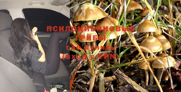 спайс Баксан