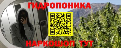 крисы Рыбинск