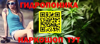 крисы Рыбинск