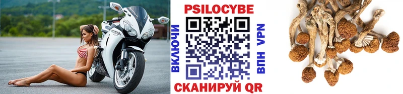 Псилоцибиновые грибы ЛСД  наркота  Пятигорск 
