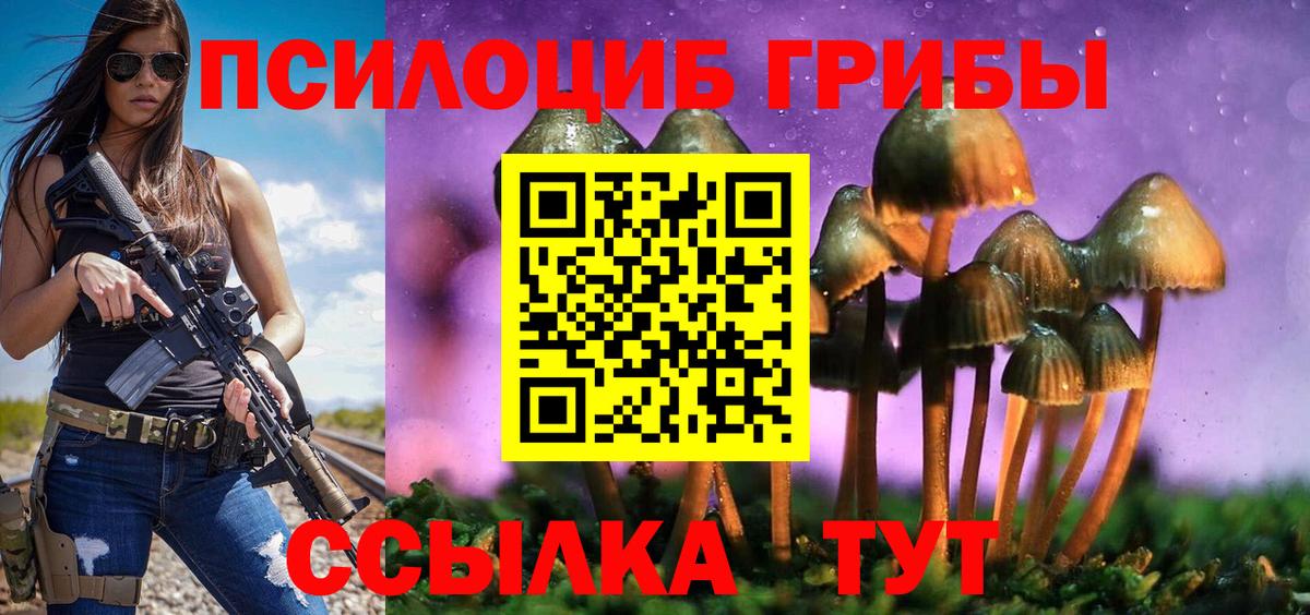 Пятигорск  Псилоцибиновые грибы Magic Shrooms  где продают наркотики  Вход с VPN  Псилоцибиновые грибы прущие грибы 