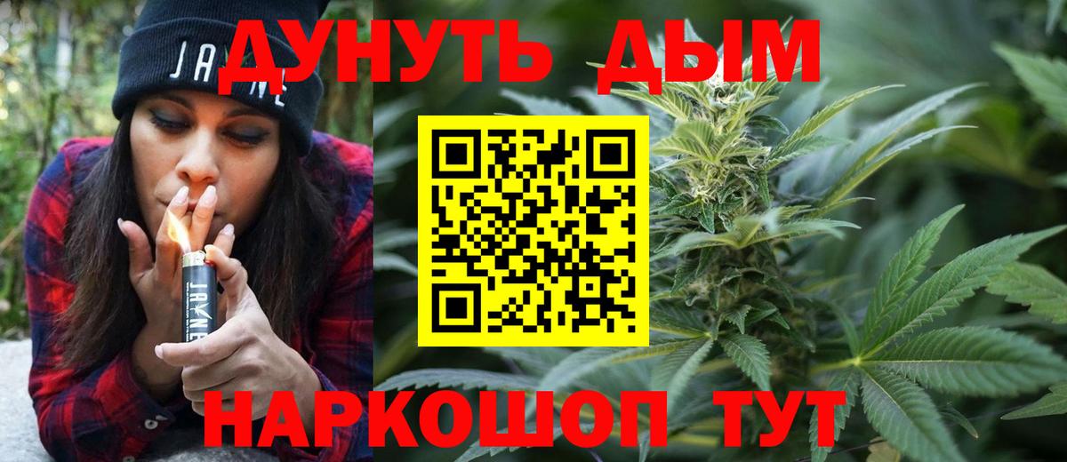 Каннабис сатива Пятигорск